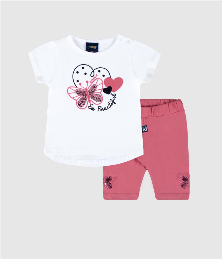 Conjunto borboleta - rosa