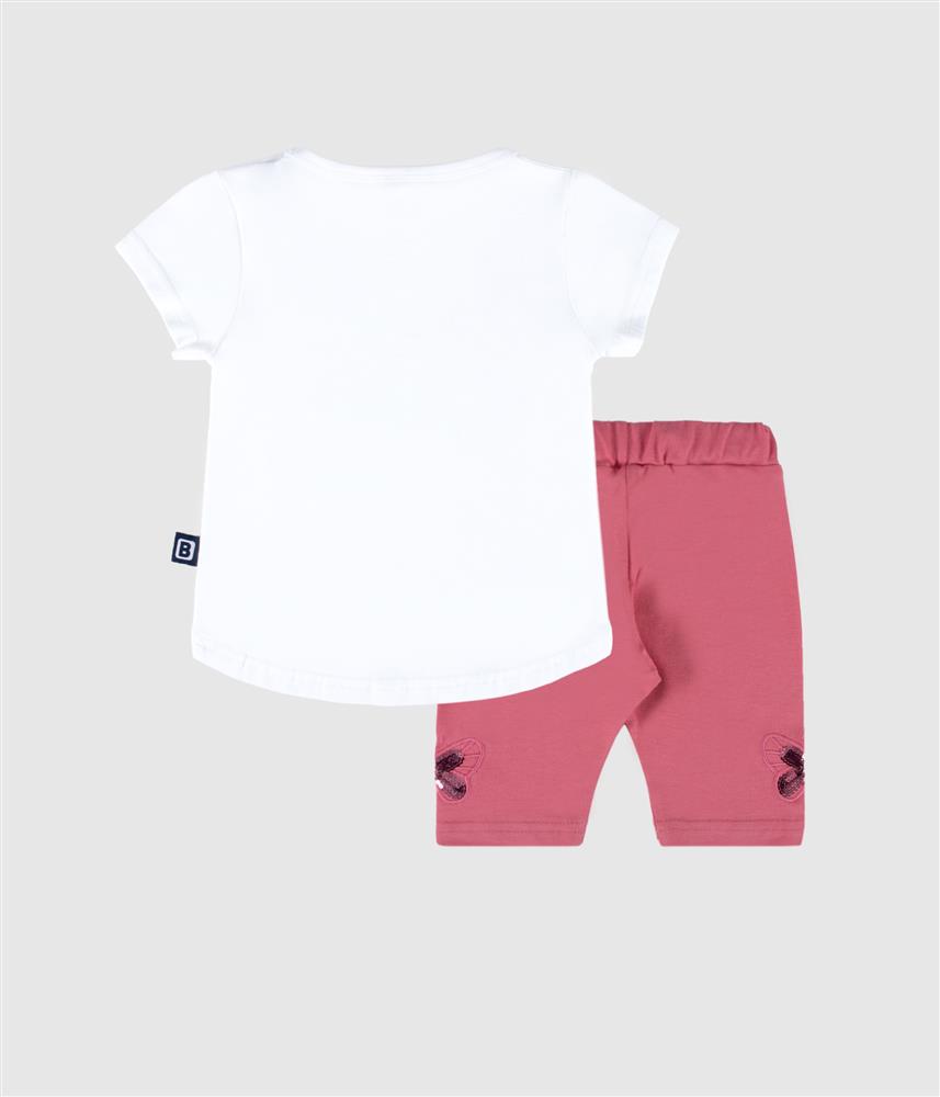 Conjunto borboleta - rosa
