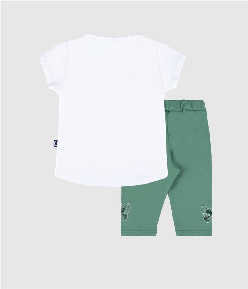 Conjunto borboleta - verde