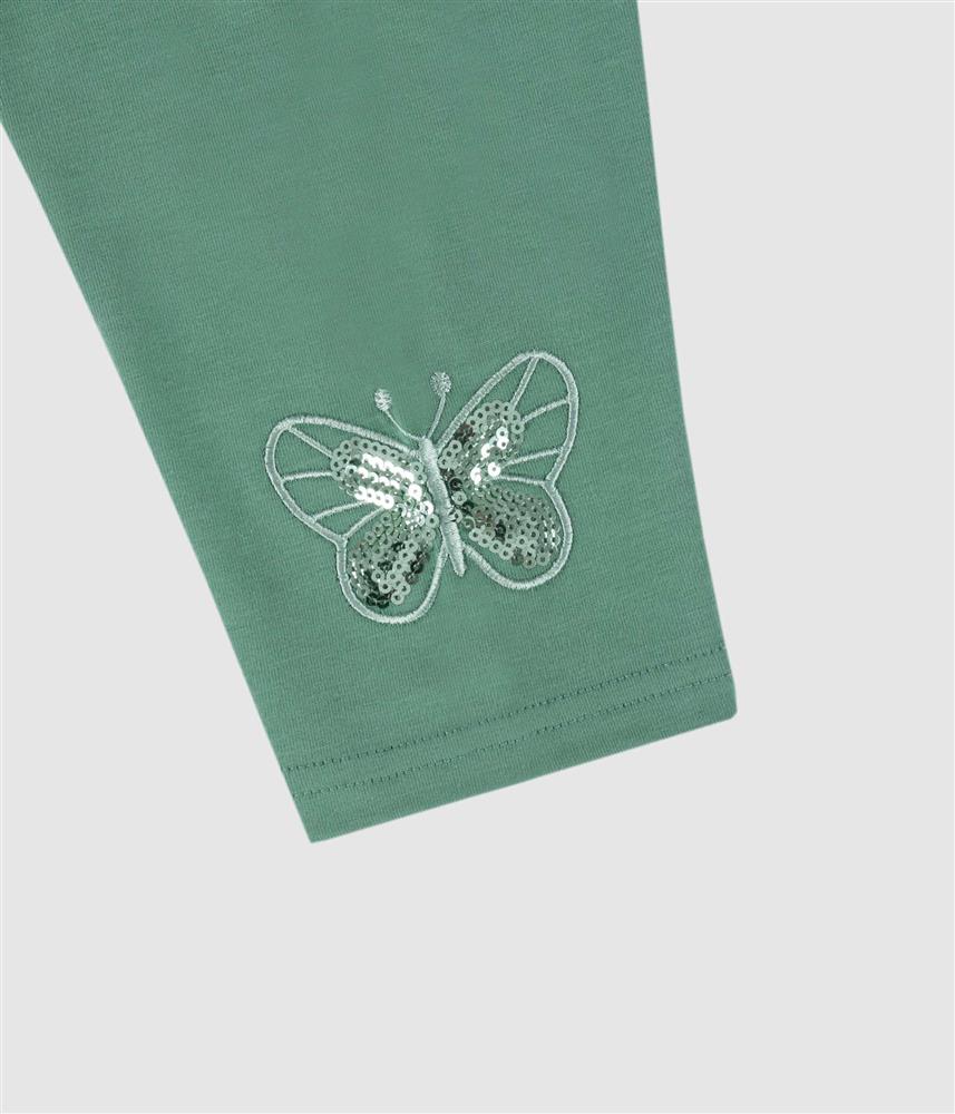 Conjunto borboleta - verde