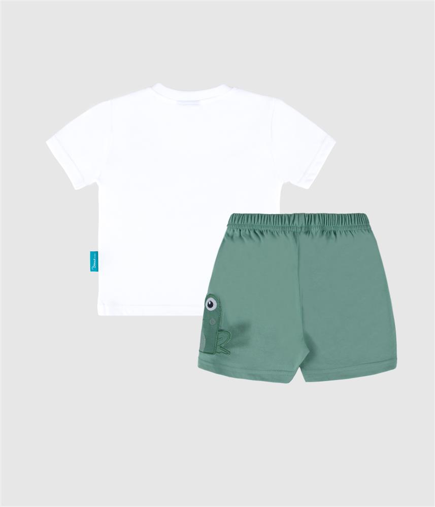 Conjunto sapo - verde