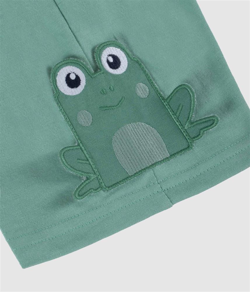 Conjunto sapo - verde